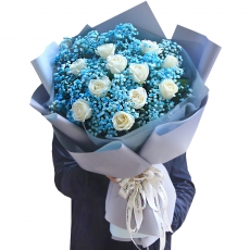 最浪漫的事-11白玫瑰蓝色满天星