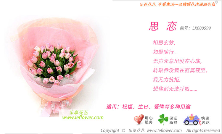 北京郁金香鲜花