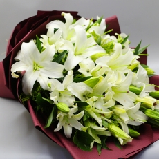 芬芳-33朵白百合花束