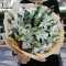 纯洁芬芳-33朵白百合花束