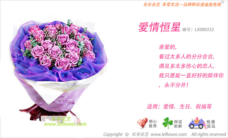 紫玫瑰花束－紫色玫瑰花