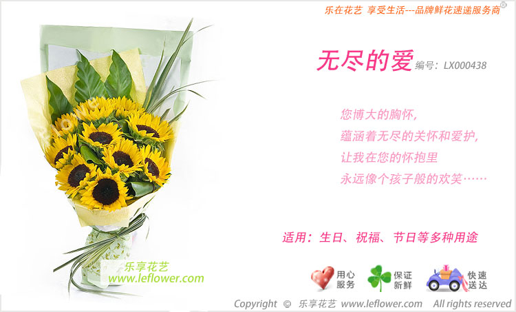 向日葵花束－送老师、送父亲的鲜花
